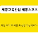 진천체육사