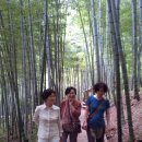 맹종죽테마공원 이미지