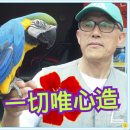 유월엔 이미지