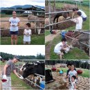 영우목장 이미지