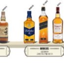 (주)해적아일랜드 이미지