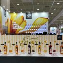 엑스포랜드 | 2026 서울커피엑스포 커피박람회 오픈런 후기 | 전국 카페인 중독자들 총집합