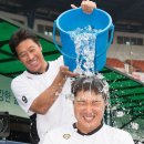 세븐버킷 이미지