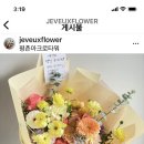 쥬브 이미지