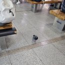 해운대해변로 237번길15 | 3박 4일 울산 &amp; 부산 여행을 가다