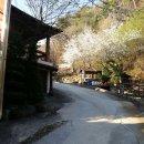 오전약수관광지 이미지