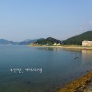 제이드리조텔 이미지