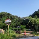 보림농장 이미지