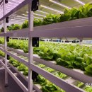 최용진 농장 이미지