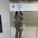 시원하고 따뜻한 5월의 돼지기록🎀