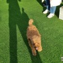 호텔멍 이미지