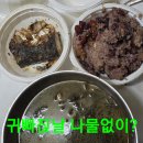 머꼬요 Daum카페