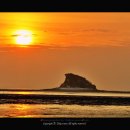 새소망목장 이미지