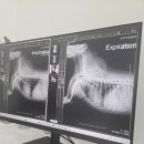 강서하이동물병원 이미지