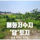 옥천공인중개사사무소 이미지