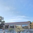 서산소나무힐링 이미지