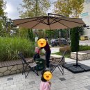 양곡2로 80번길 | 김포 숨은 맛집 감성카페 해버커피 후기