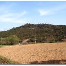 신흥주유소 이미지