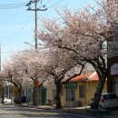 효돈동-3 이미지