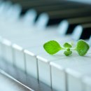 이플음악학원 이미지