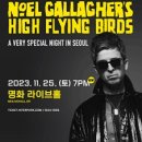 하이플라잉 이미지