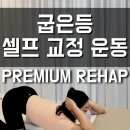 창원더리햅 이미지