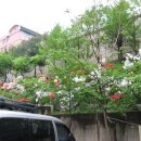 현대A경로당 이미지