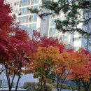 뉴훼미리공인중개사사무소 | 쇠재마을뜨란채 504동 3층 매매 매물입니다~