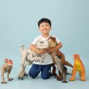 노원-상계-2760 이미지