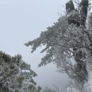 눈보라식당 | 눈보라 속 겨울 등산(도봉산), 감초식당 연탄구이
