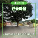 사성1리 노인회관 | [구미낭만여행] 구미 무을면 안곡마을, 오래된 나무와 우물 이야기가 머무는 곳