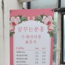 꿈꾸는분홍