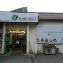 임계양돈