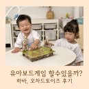하바 오차드토이즈 어린이보드게임 후기(공룡화석을찾아라, 로직케이스)