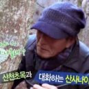봄날을그리다