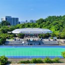 인라인 스케이팅 이미지