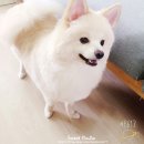 청주지웰동물병원 이미지