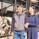 토끼실목장 이미지