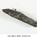 엔게디(Ein Gedi) 이미지