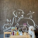 반디빌리지 이미지