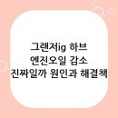 지남주유소 | 그랜저ig 하이브리드 엔진오일 감소 이슈, 정말 사실일까? 원인과 해결책 총정리