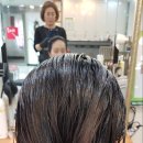 엠투(M2) 헤어스토리 네이버블로그