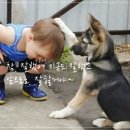 알콩달콩 이미지