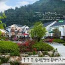 흥정계곡 솔내음펜션 이미지