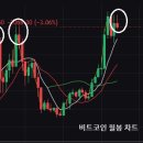 비트코인과 코인 시장이 궁금하면 보시길 이미지