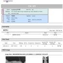 시바견 분양 루이몽 강남본점 | 시바견 분양가 마메시바 성격 털빠짐 장단점