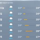 [캠핑기록 #2]부안 노을숲캠핑장 타프존 우중캠핑 후기