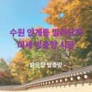 경기도 수원시 팔달구 경수대로480번길 | 수원 팔달구 인계동 빌라 단지 미세방충망 시공