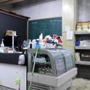 아모르디 | [실망하고 일찍나온] 전주신시가지 &#39;아모르디애견카페&#39;