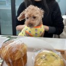 와우동물메디컬센터 | 익산 카페꼴랑지_ 와우동물메디컬센터 카페